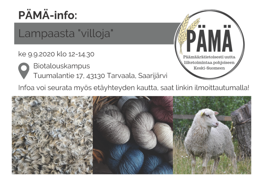 PÄMÄ: Lampaasta ”villoja” -info ke 9.9. klo 12.00-14.30