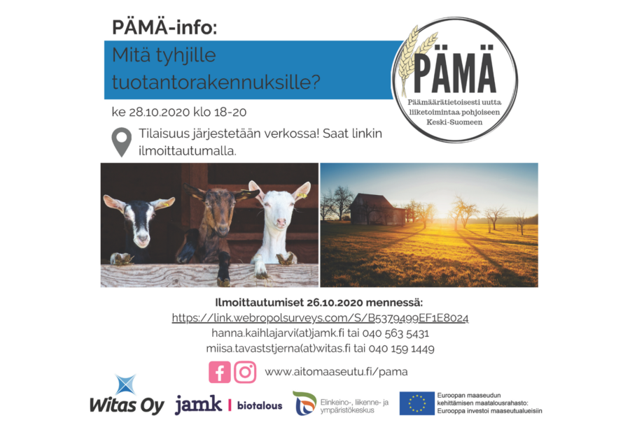 PÄMÄ: Mitä tyhjille tuotantorakennuksille? -webinaari