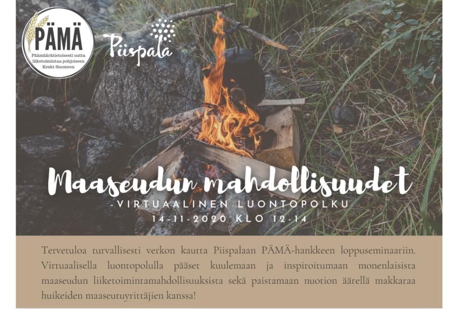 PÄMÄ-hankkeen virtuaalinen loppuseminaari 14.11. klo 12-14