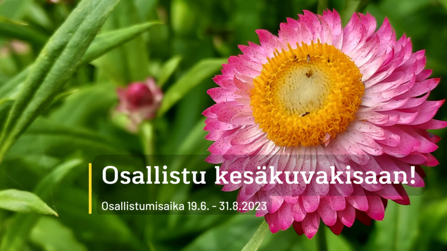 Millainen on sinun #kesäsydänsuo­messa?