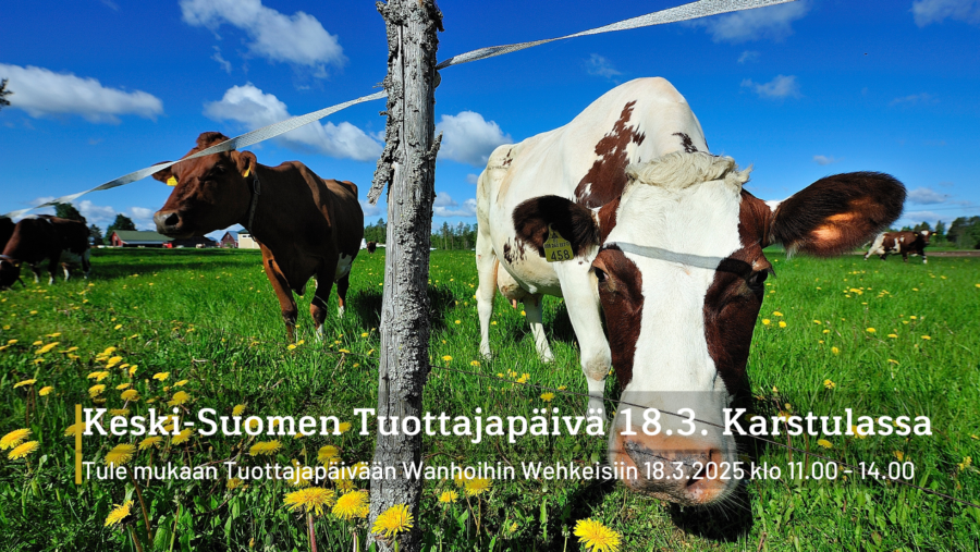 Keski-Suomen Tuottajapäivää vietetään Karstulassa 18.3. – tule mukaan!