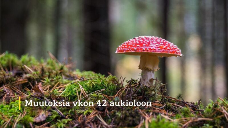Muutoksia viikon 42 aukioloon